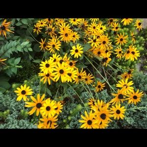 Meet your Posher, Hayley